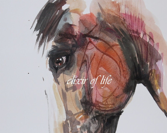 馬の横顔２０２１（A4サイズ、水彩画用紙、墨、水彩） 2枚目の画像