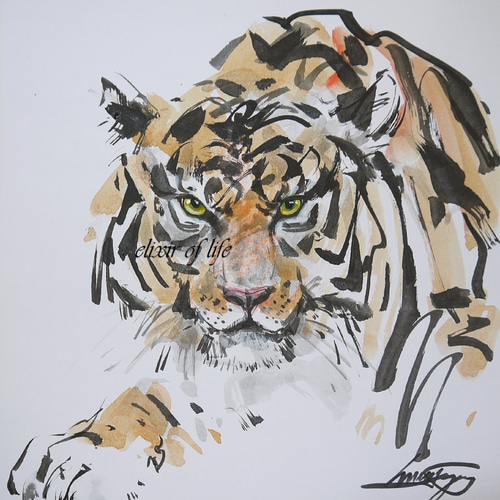 トラ【原画 ポストカードサイズ 色鉛筆画】 絵画 ちさと 通販 トラ【原画 ポストカードサイズ 色鉛筆画】 絵画 ちさと 通販