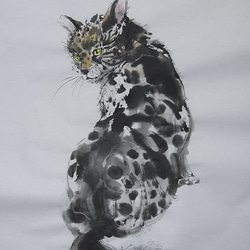 ヒョウ拓猫原画