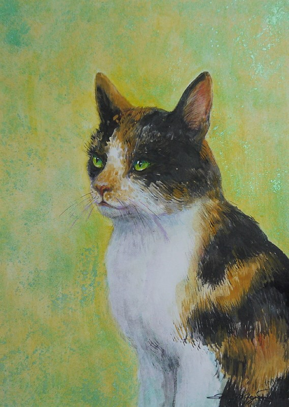 三毛猫２０１７（イラストボード２２ｃｍ×３０ｃｍ、水彩） 1枚目の画像