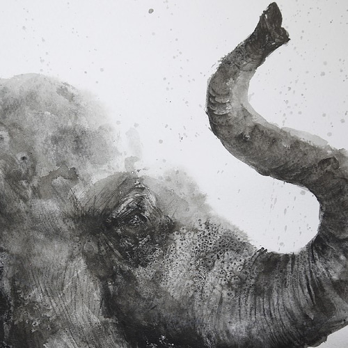 雨に喜ぶゾウの仔（墨絵、水彩画用紙24，5cm×35cm