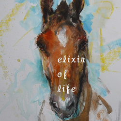 生命力、栗毛色の馬のポートレート（水彩画用紙２９ｃｍ×２１ｃｍ、墨、アクリルその他） 1枚目の画像