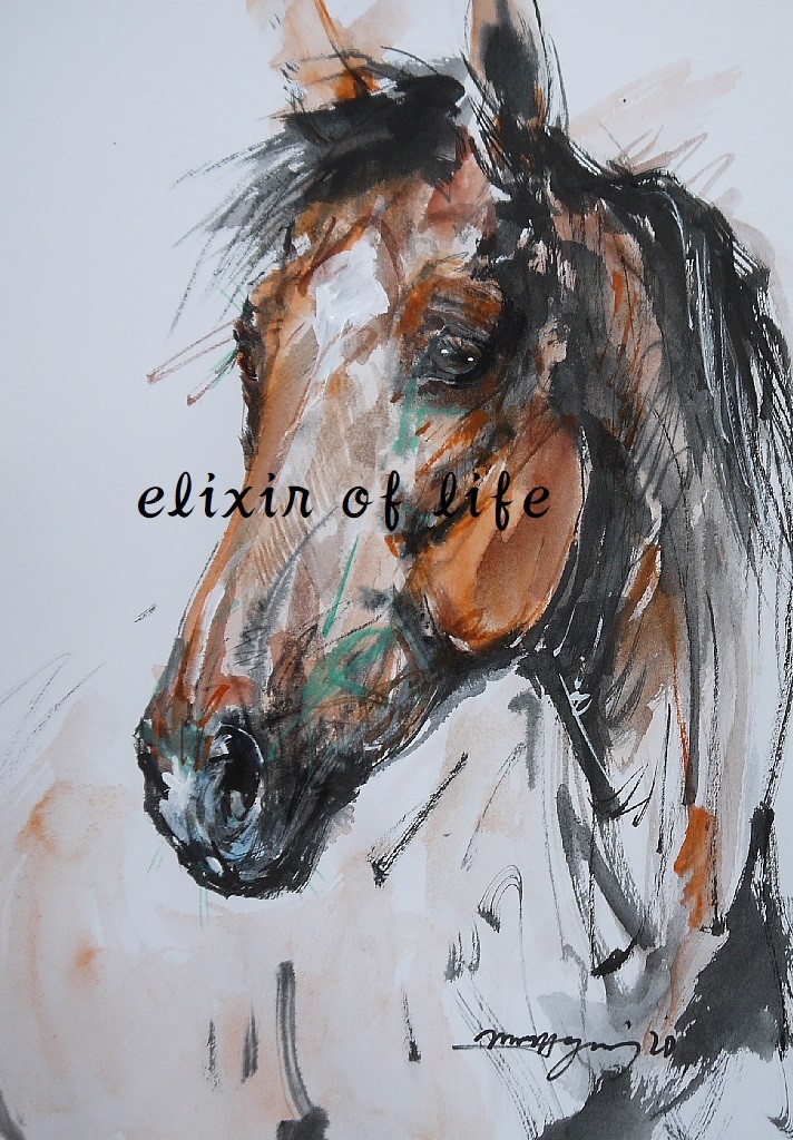 赤い馬のポートレート（墨絵。水彩画用紙２１ｃｍ×３０ｃｍ）