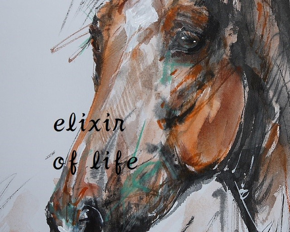 赤い馬のポートレート（墨絵。水彩画用紙２１ｃｍ×３０ｃｍ） 2枚目の画像