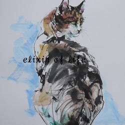 三毛猫、１（墨絵、アクリル、その他、水彩画用紙２１ｃｍ×３０ｃｍ） 1枚目の画像