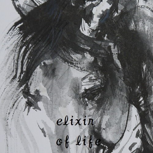 馬の白黒のポートレート（墨絵、水彩画用紙21cm×30cm
