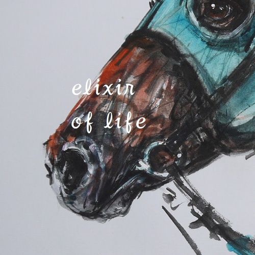 競走馬、4（墨絵、水彩画用紙21cm×30cm） 絵画 ELIXIR