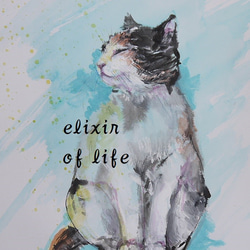 瞑想する猫、５（墨絵、水彩画用紙２１ｃｍ×３０ｃｍ） 1枚目の画像