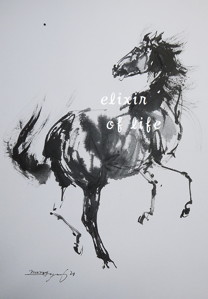 立ち上がった馬（墨絵、水彩画用紙21cm×30cm） 絵画