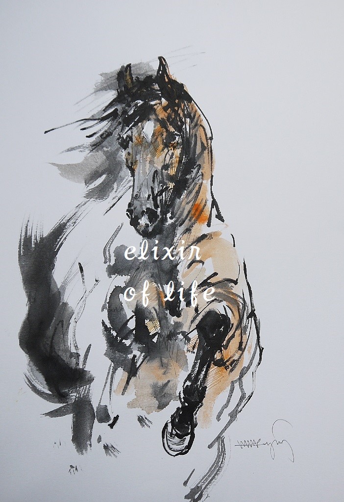 Black to white. 淳 | 