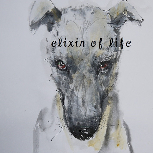 グレー色の犬（墨絵、水彩画用紙21cm×30cm） 絵画