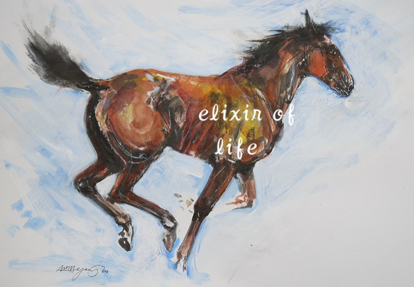 駈ける一歳馬（墨、水彩、水彩画用紙21cm×30cm） 絵画