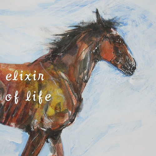 駈ける一歳馬（墨、水彩、水彩画用紙21cm×30cm） 絵画 ELIXIR