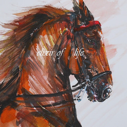 American Saddlebred、１(墨絵、水彩、水彩画用紙２１ｃｍ×３０ｃｍ) 1枚目の画像