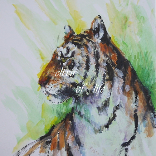 トラ【原画 ポストカードサイズ 色鉛筆画】 絵画 ちさと 通販 トラ【原画 ポストカードサイズ 色鉛筆画】 絵画 ちさと 通販
