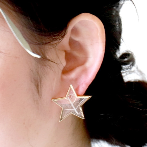 森に落ちた星のピアス #173 ピアス（スタッド・一粒） FT2 works 通販 