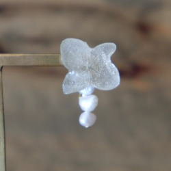 繡球花和淚水耳環[淡水珍珠]（灰色）＃231 第2張的照片