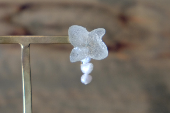 繡球花和淚水耳環[淡水珍珠]（灰色）＃231 第2張的照片