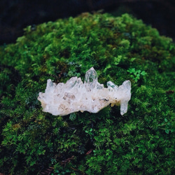 ヒマラヤ水晶ポストカード【苔シリーズ5枚セット】 4枚目の画像