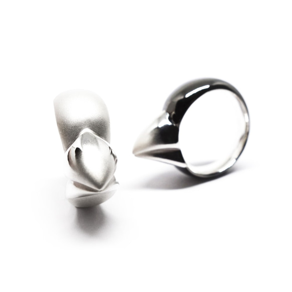 リアル白文鳥くちばしリングSV925【Pio by Parakee】Japanese rice bird's beak 3枚目の画像