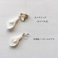 淡水真珠：pearl×shell pierce[K14GF] 4枚目の画像