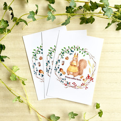 森の木の実のボタニカルカフェ ポストカード5枚セット【個別発送】 3枚目の画像