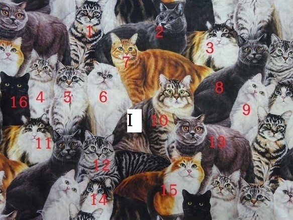 【受注販売】猫・丸ポーチ 5枚目の画像