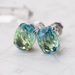 glass jewel【blue＆green】 ステンレスピアス / イヤリング変更可 1枚目の画像