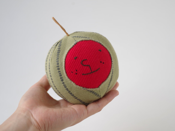 ルルさんのすいか 製作キット 5枚目の画像