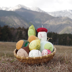 ルルさんのすいか 製作キット 6枚目の画像