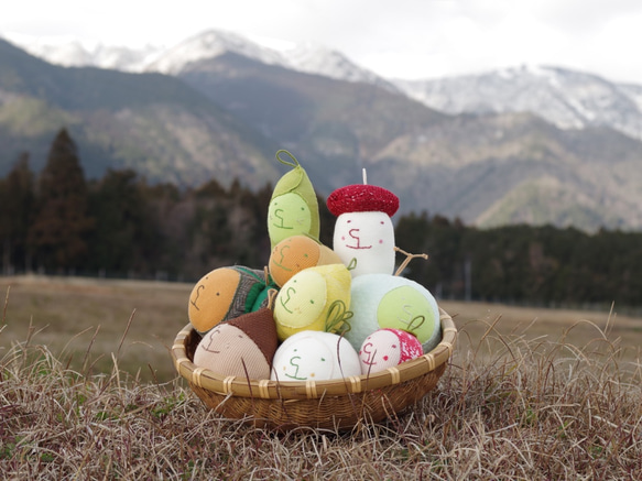 ルルさんのすいか 製作キット 6枚目の画像