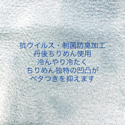 ①マーメイド✖️レース　②マーメイド✖️ホワイト　※1点　気分はマーメイド　立体布マスク※抗ウイルス裏地に変更可 7枚目の画像