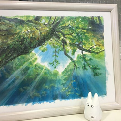 木もれび MOMO NATURAL | モモ ナチュラル - オフィシャルサイト VENT