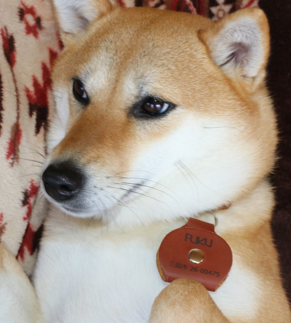 犬の名前入りキーホルダー　IDタグ　迷子札　皮製　無料で名前入れます 1枚目の画像