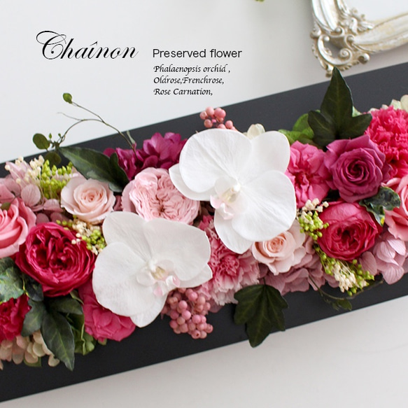 壁掛けOK★コチョウランのフレームアレンジ・ロングL（ストロベリーP）【プリザーブドフラワー】誕生日 還暦 古希 就任祝 誕生日 還暦 フレンチローズ 横置き 壁掛け 古希祝い 開院祝い 退職祝い ローズ ギフト配送 メゾン フルール