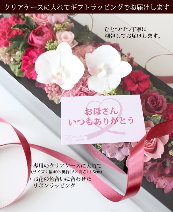 壁掛けOK★コチョウランのフレームアレンジ・ロングL（ストロベリーP）【プリザーブドフラワー】誕生日 還暦 古希 就任祝 誕生日 還暦 フレンチローズ 横置き 壁掛け 古希祝い 開院祝い 退職祝い ローズ ギフト配送 メゾン フルール