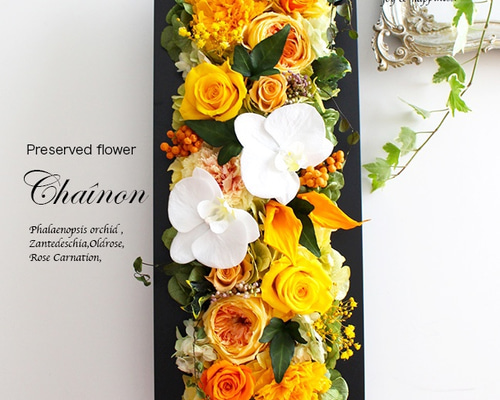 0_44d40fb288c17c74cae99e23e596