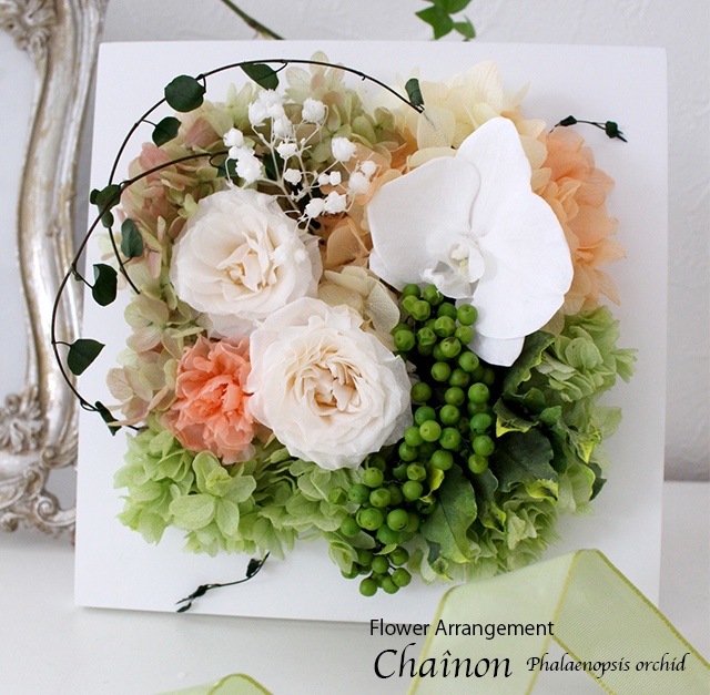 コチョウランのフレームアレンジChaînon（シェノン）【プリザーブドフラワー】誕生日 開店開院 退職 新居祝 母の日