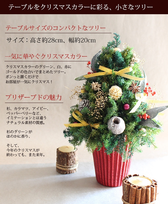 2021再販★小さく輝くクリスマスツリー（レッド）【プリザーブドフラワー】X'mas xmas 2枚目の画像