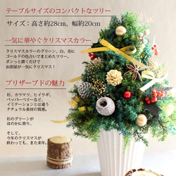 2021再販★小さく輝くクリスマスツリー（ホワイト）【プリザーブドフラワー】X'mas xmas 2枚目の画像