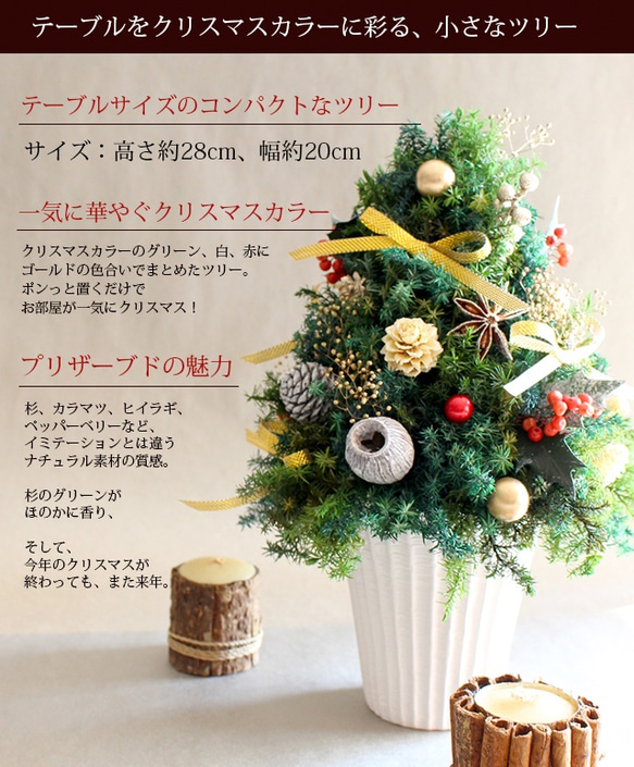 2021再販★小さく輝くクリスマスツリー（ホワイト）【プリザーブドフラワー】X'mas xmas 2枚目の画像