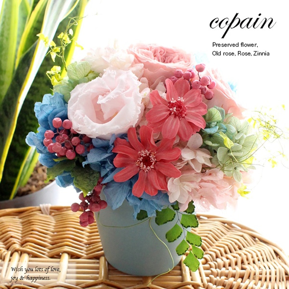 再入荷★copain（コパン）ブルー×ピンク【プリザーブドフラワー】誕生日 結婚祝 開店祝 退職祝 1枚目の画像