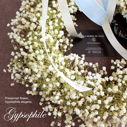 ふわふわカスミ草とモスのナチュラルリースGypsophile（30cm）結婚祝い 結婚式 ウェルカムリース 開店祝い 2枚目の画像