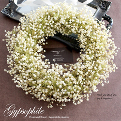 ふわふわカスミ草とモスのナチュラルリースGypsophile（30cm）結婚祝い 結婚式 ウェルカムリース 開店祝い 3枚目の画像