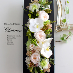 壁掛けOKコチョウランのフレームアレンジ・ロングLホワイトグリーン