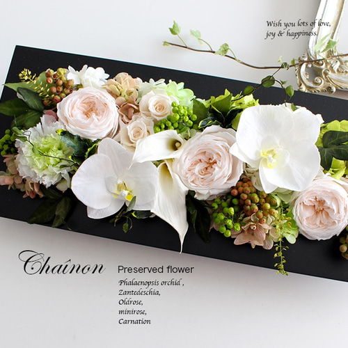 壁掛けOKコチョウランのフレームアレンジ・ロングLホワイトグリーン