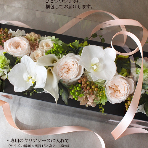 壁掛けOKコチョウランのフレームアレンジ・ロングLホワイト