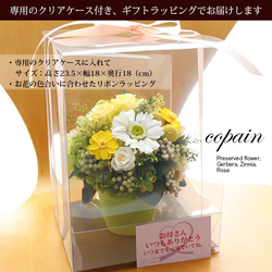 copain（コパン）グリーン×イエロー・Lサイズケース入【プリザーブドフラワー】誕生日 新居祝い 結婚祝い 3枚目の画像