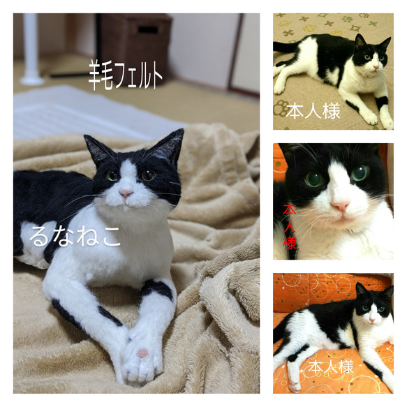 羊毛フェルト　リアル　猫　オーダー 1枚目の画像