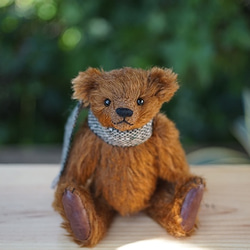 Teddy Bear Teak 第3張的照片